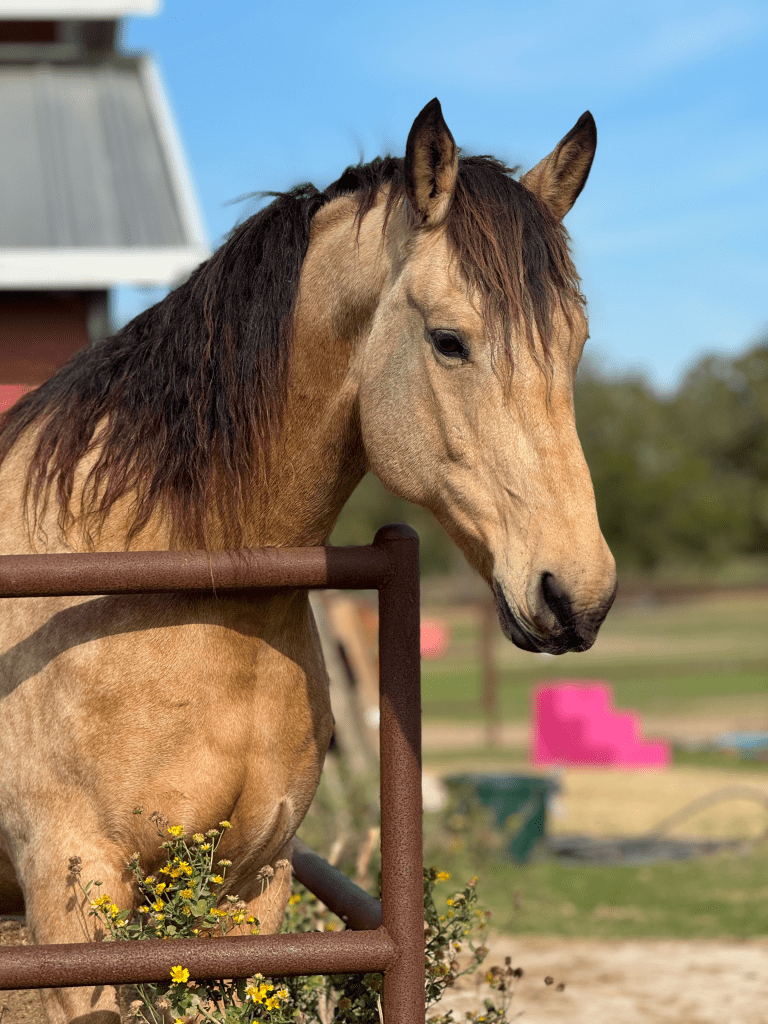 This image has an empty alt attribute; its file name is image-5.png