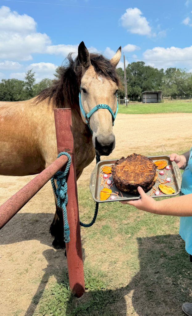 This image has an empty alt attribute; its file name is image.png